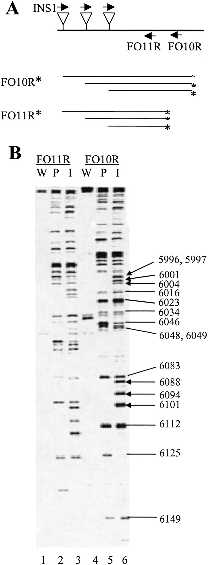 45013-1f6_C1TT
