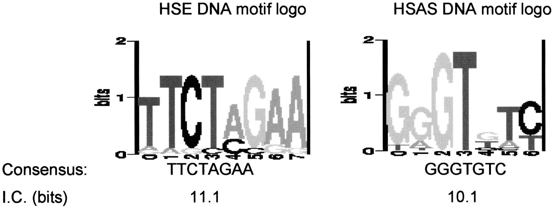 45793-14f2_F1TT