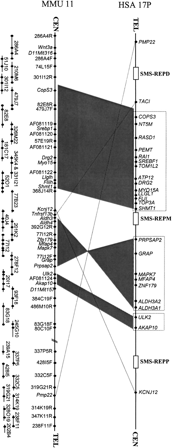 45793-18f2_F1TT_rev4