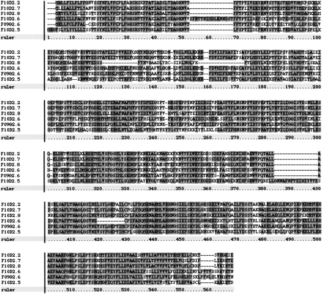 45793-3f2_F1TT