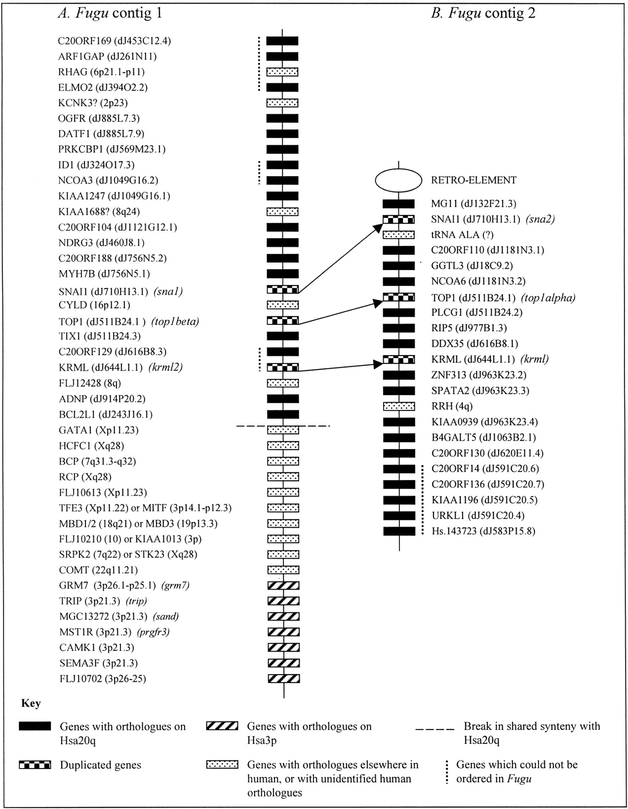 45793-7f2_L1TT_rev1