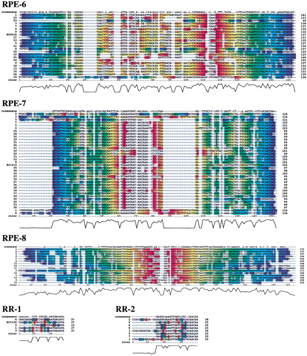 45793-6f1b_C4TT