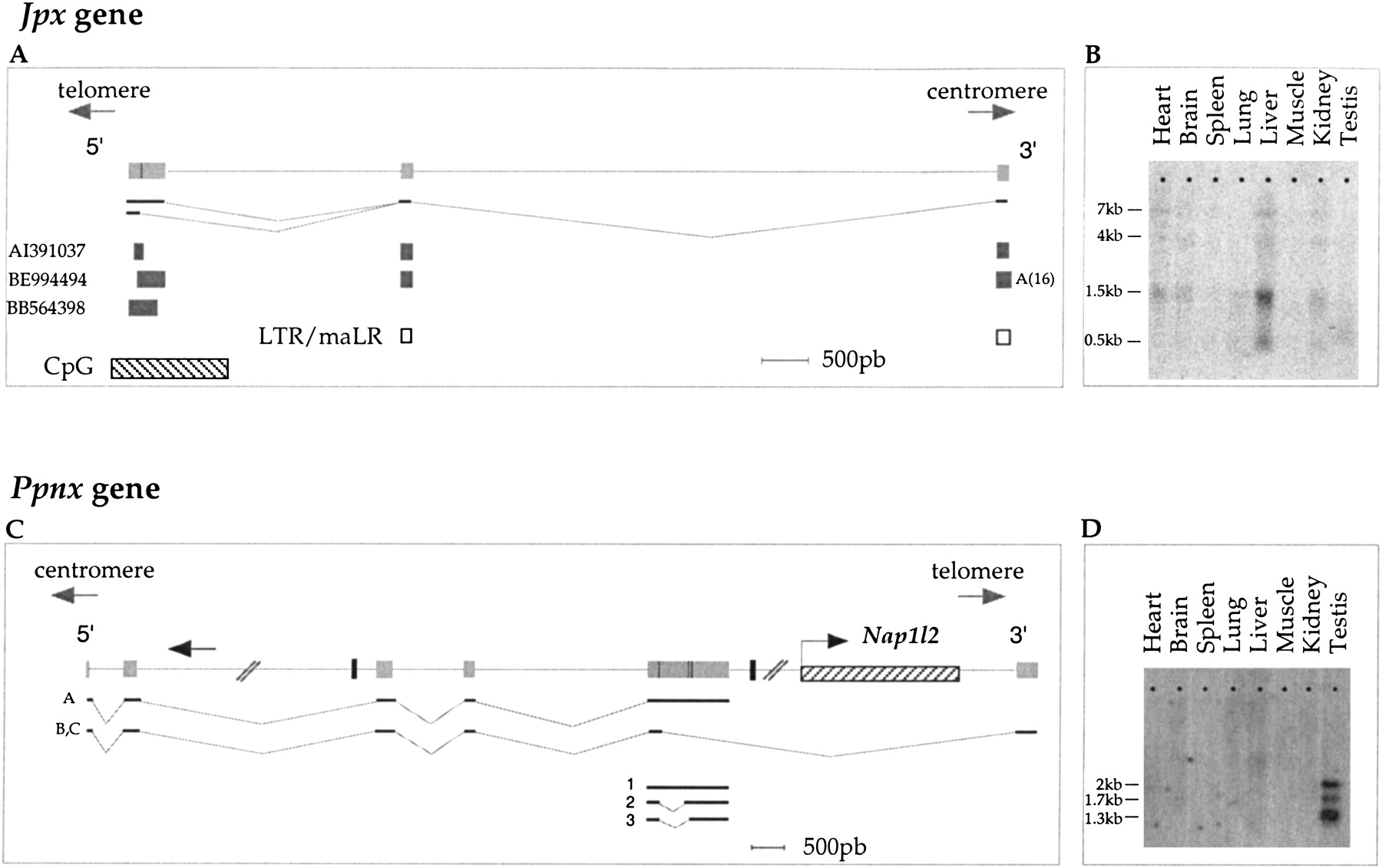 45884-18f4_C1TT_rev1
