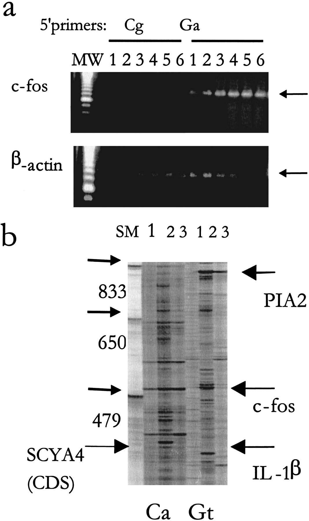45884-5f4_C1TT