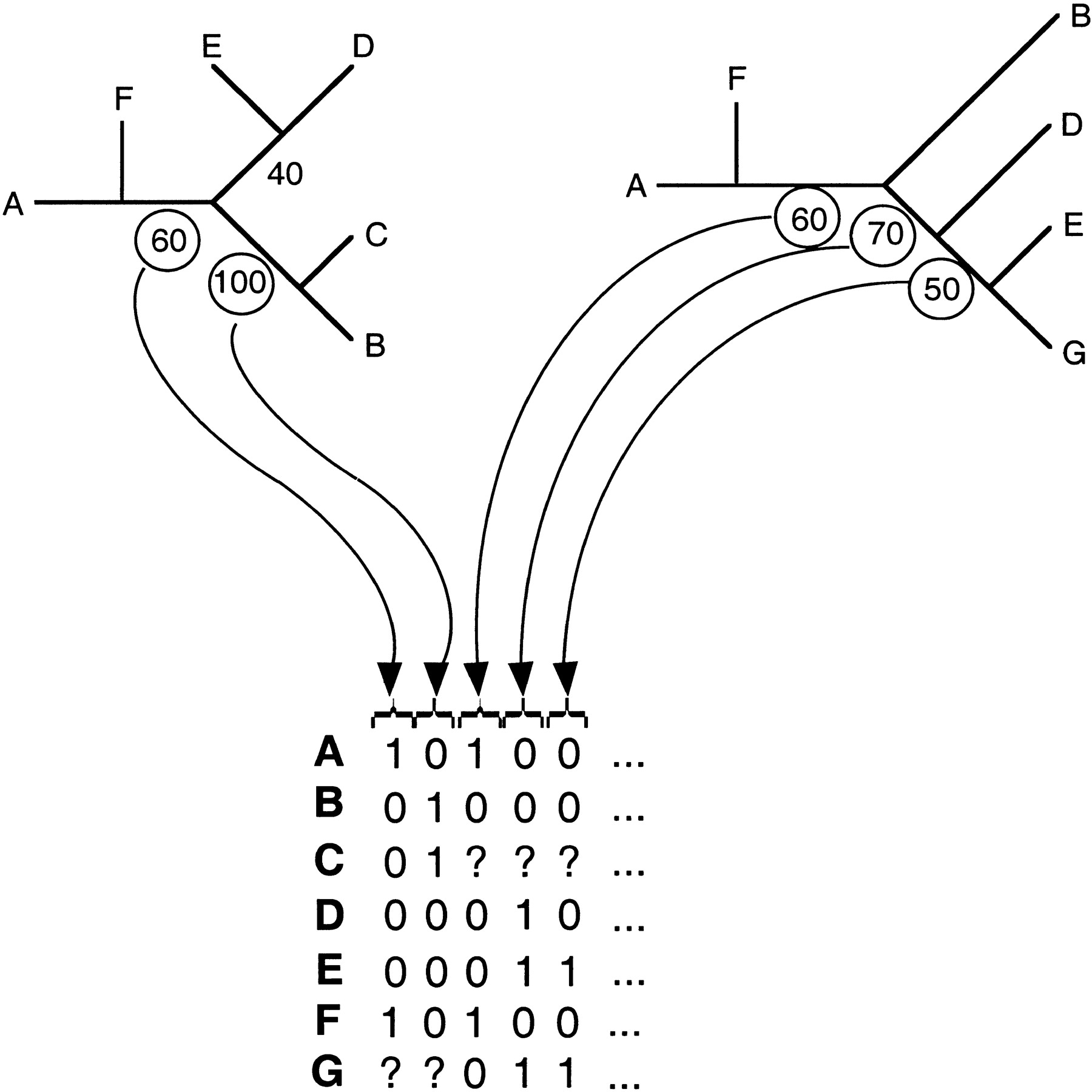 46894-9f1_L1TT