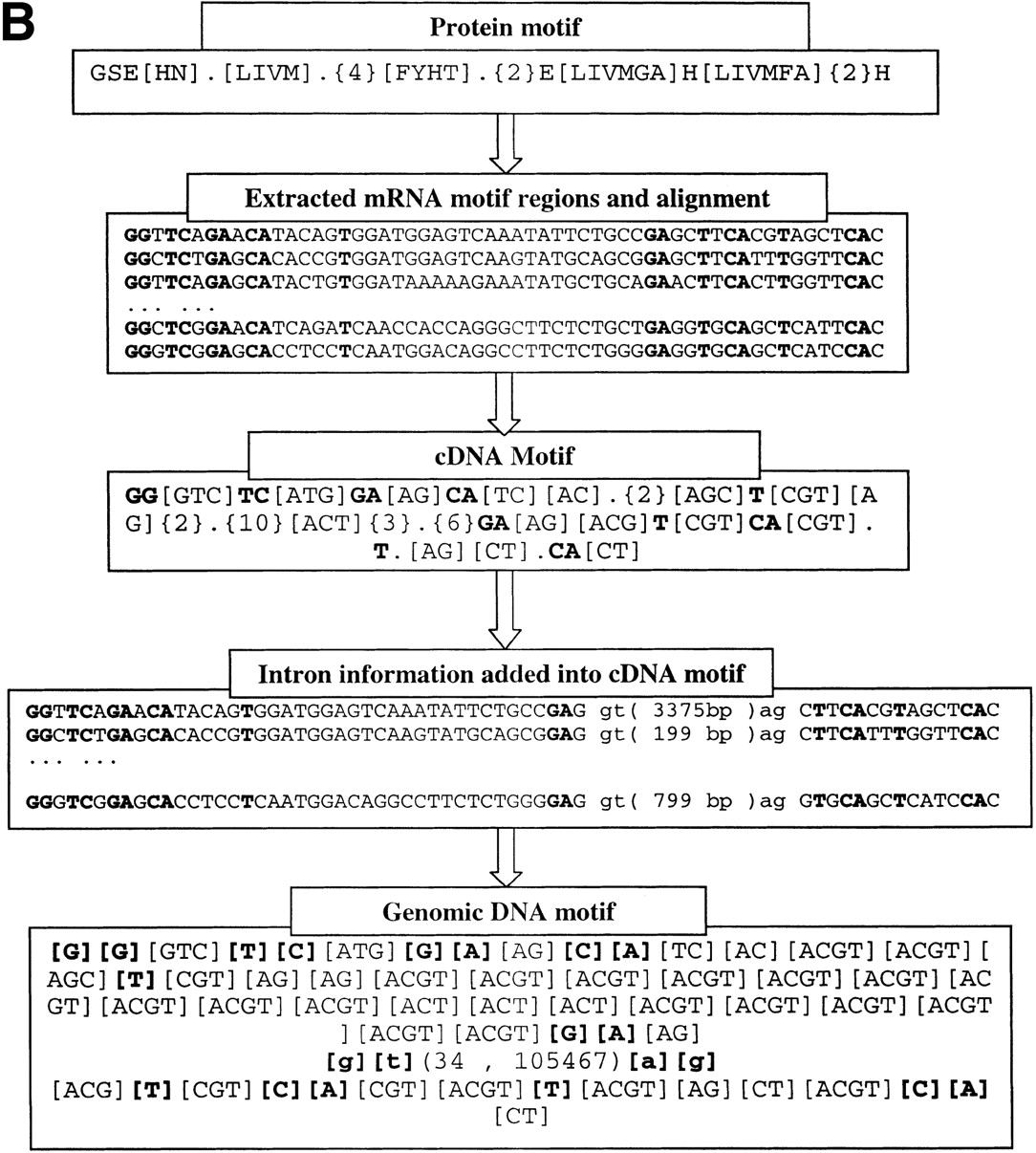 46894-21puf2b_L1TT_rev1