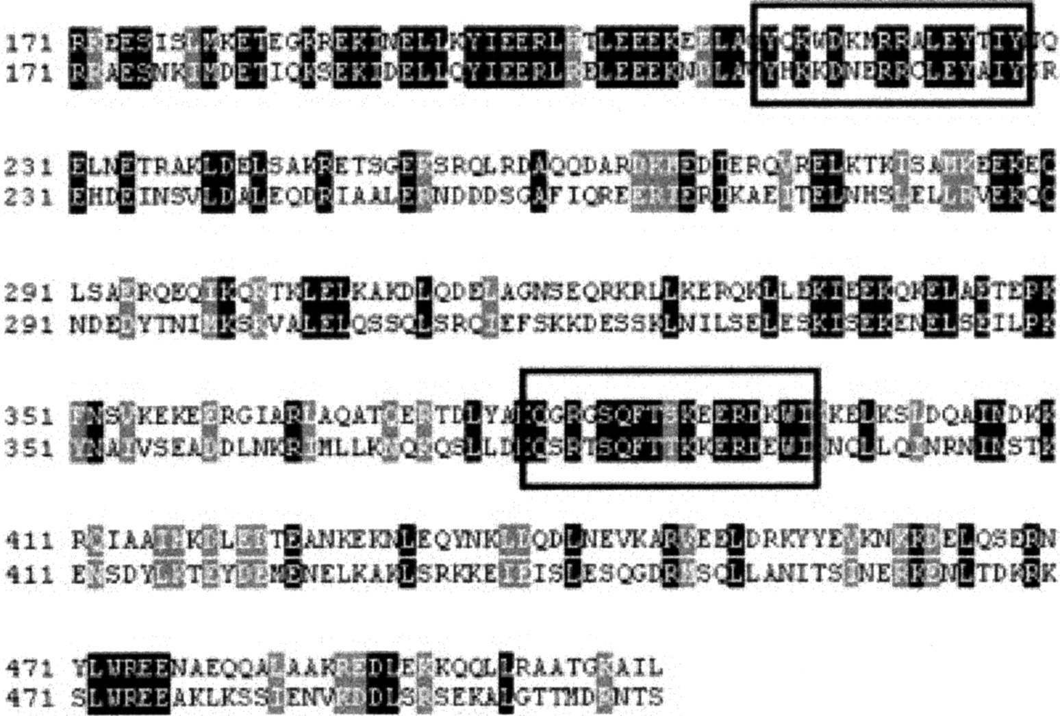 48776-10f3_F1TT