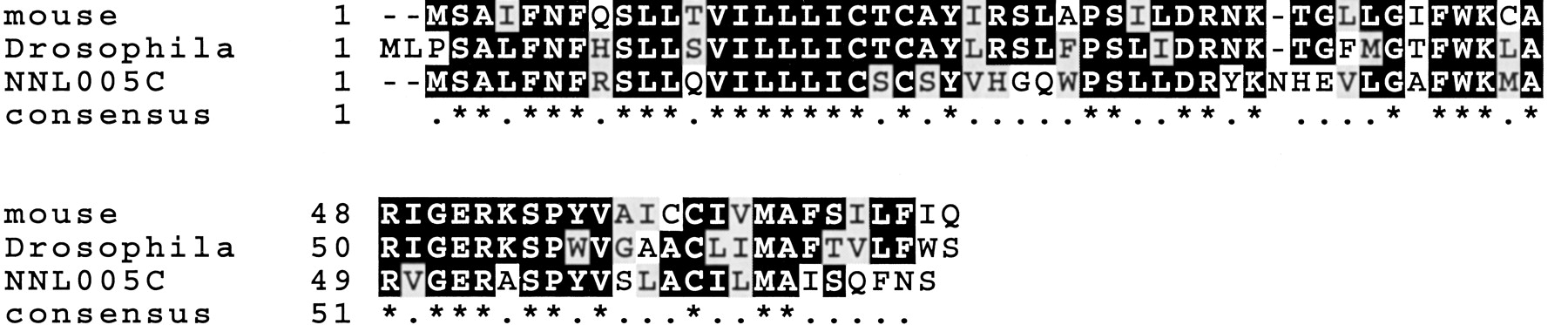 48776-4f4_F1TT