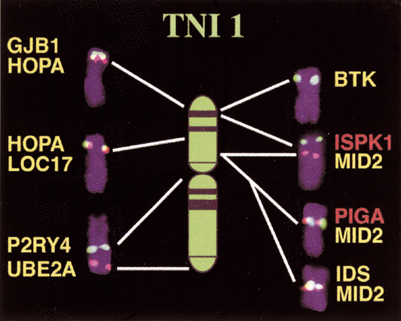 51629-7f2_T4OT