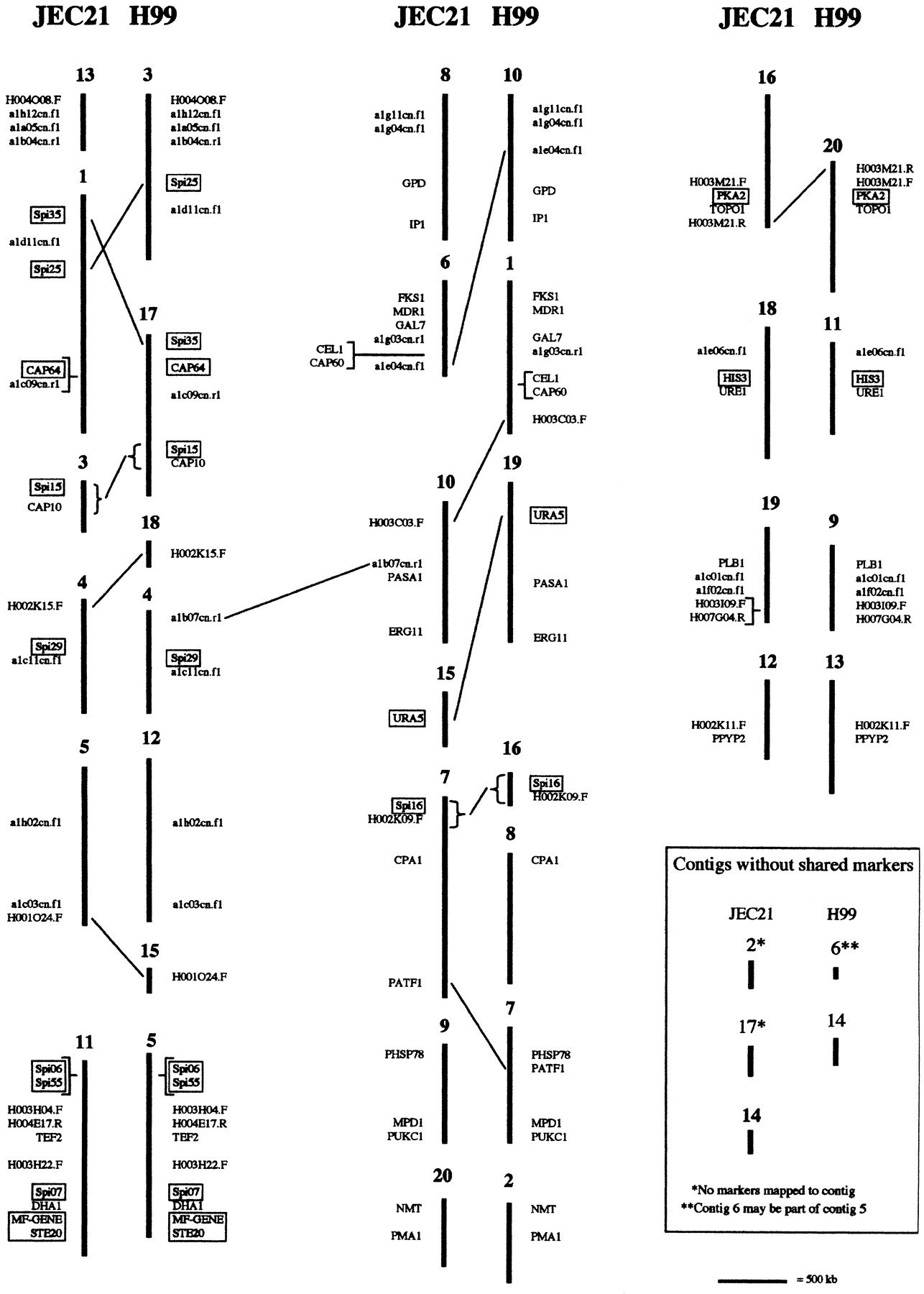 51629-06f1_L1TT