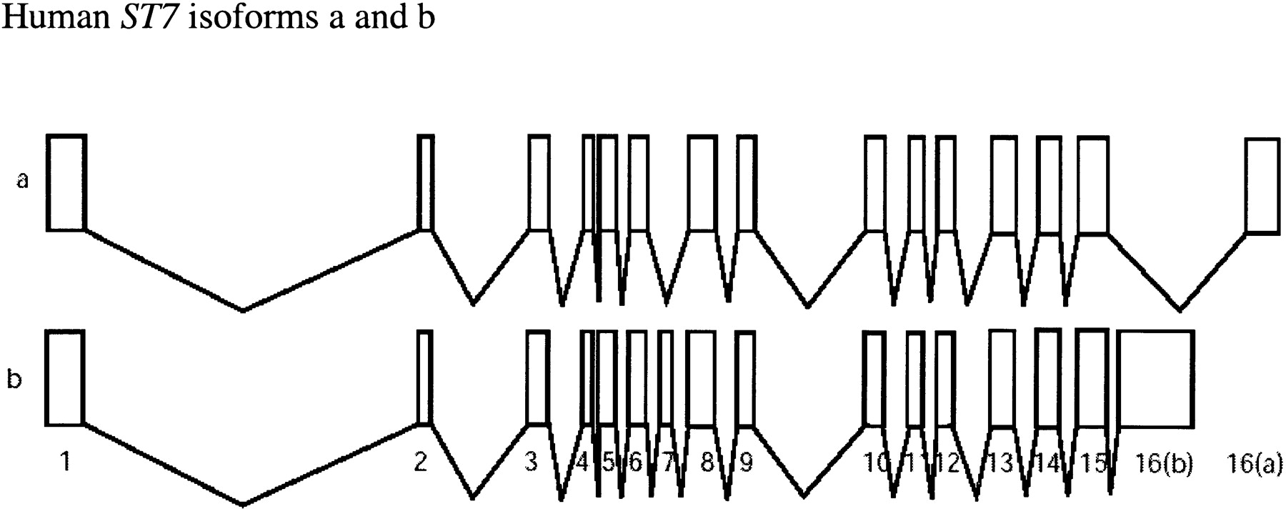 58305-12f4_L1TT