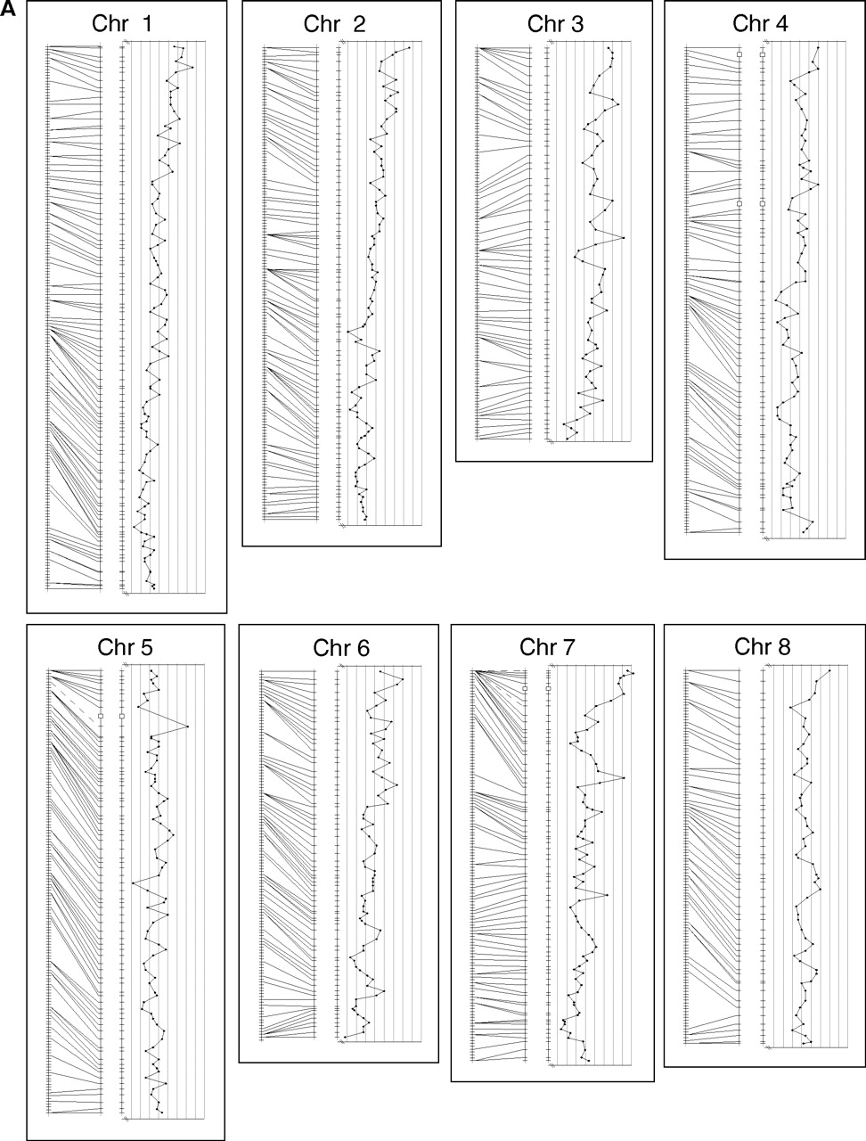 58305-04f1a_F1OE