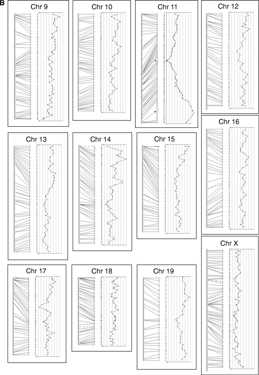 58305-04f1b_F1OE