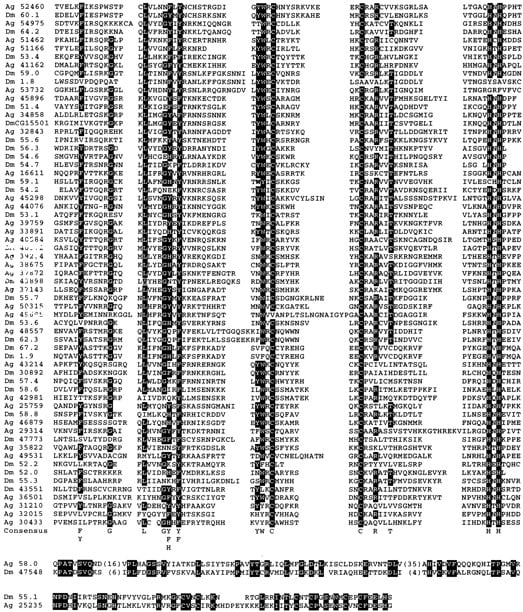 68194-11f2_L1TT