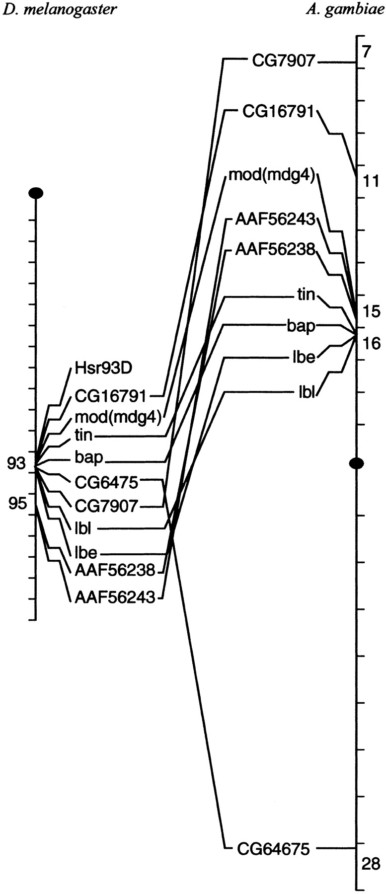 68194-11f4_L1TT