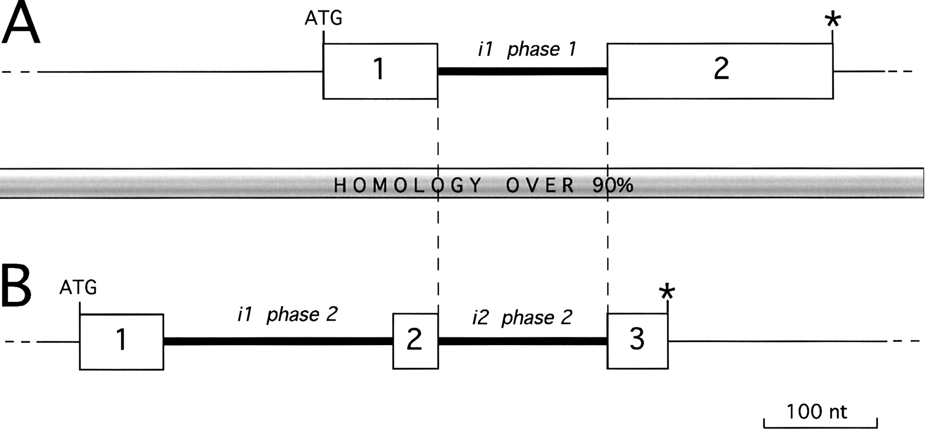 68194-05f3_F1TT
