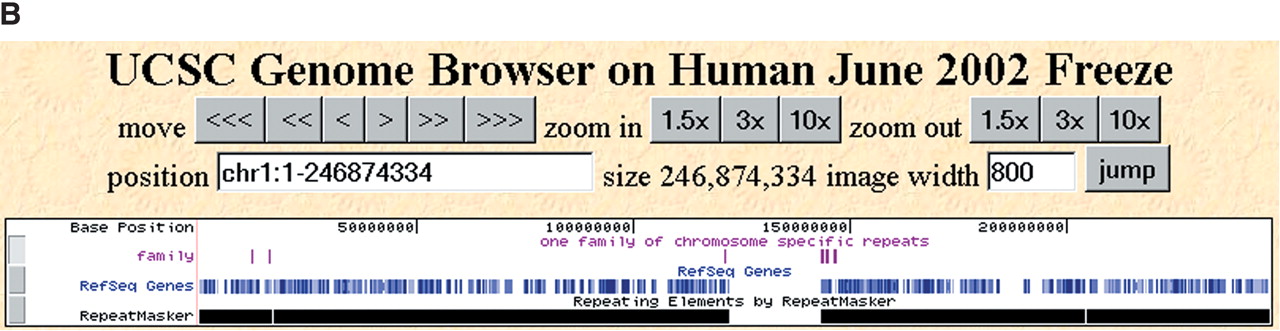 68194-09f3b_C4OT