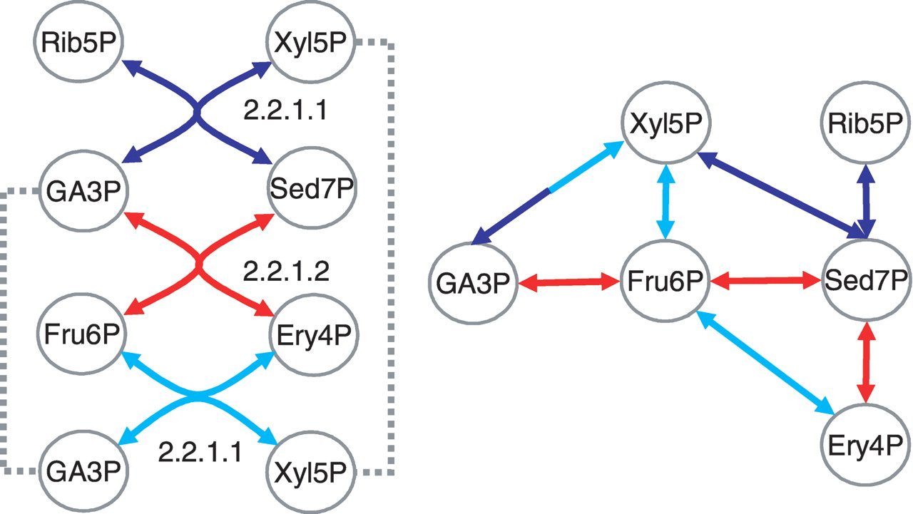68196-03f3_F4OT