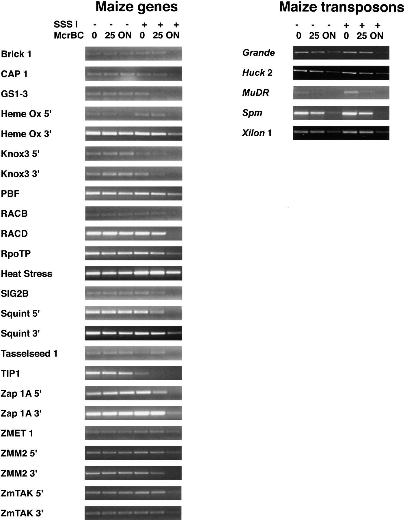 68651-27f3_C1TT