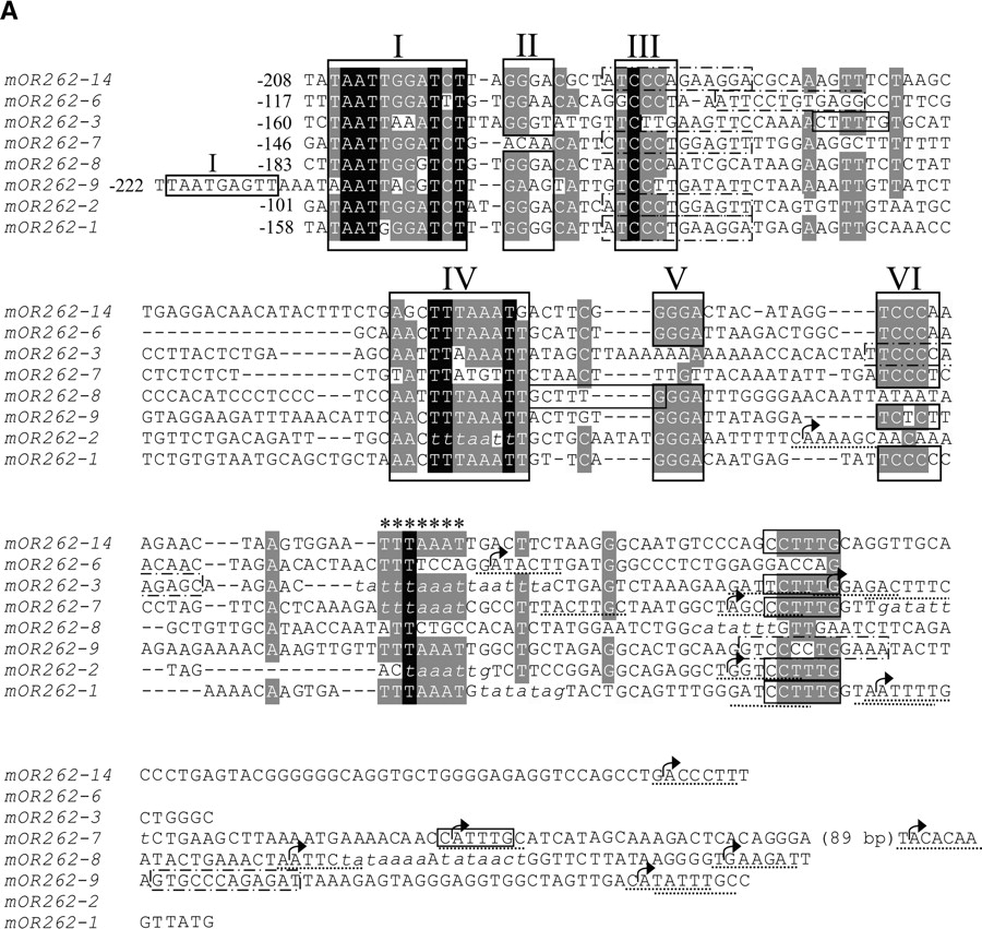68651-11f5a_F1OT