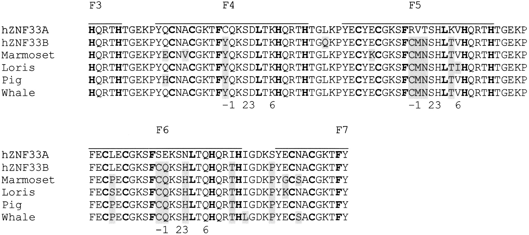 58321-04f5_F1TT