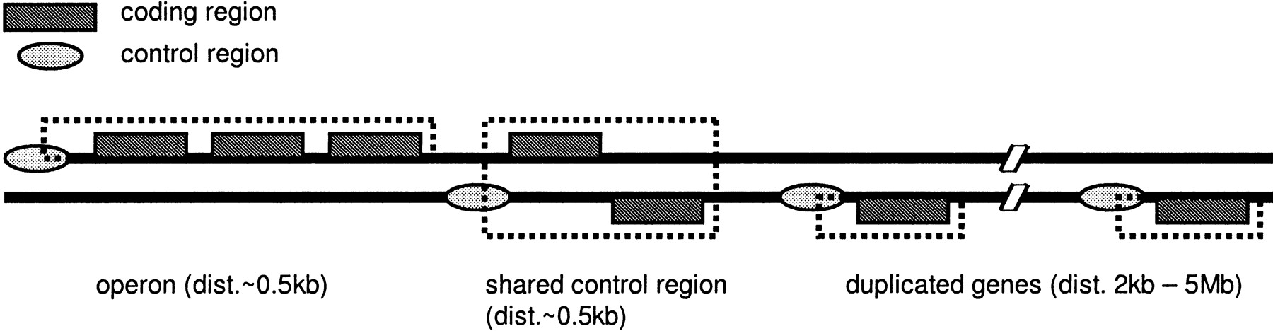58321-15f5_F1TT