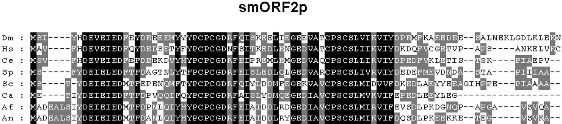 58321-06f3_F1OT