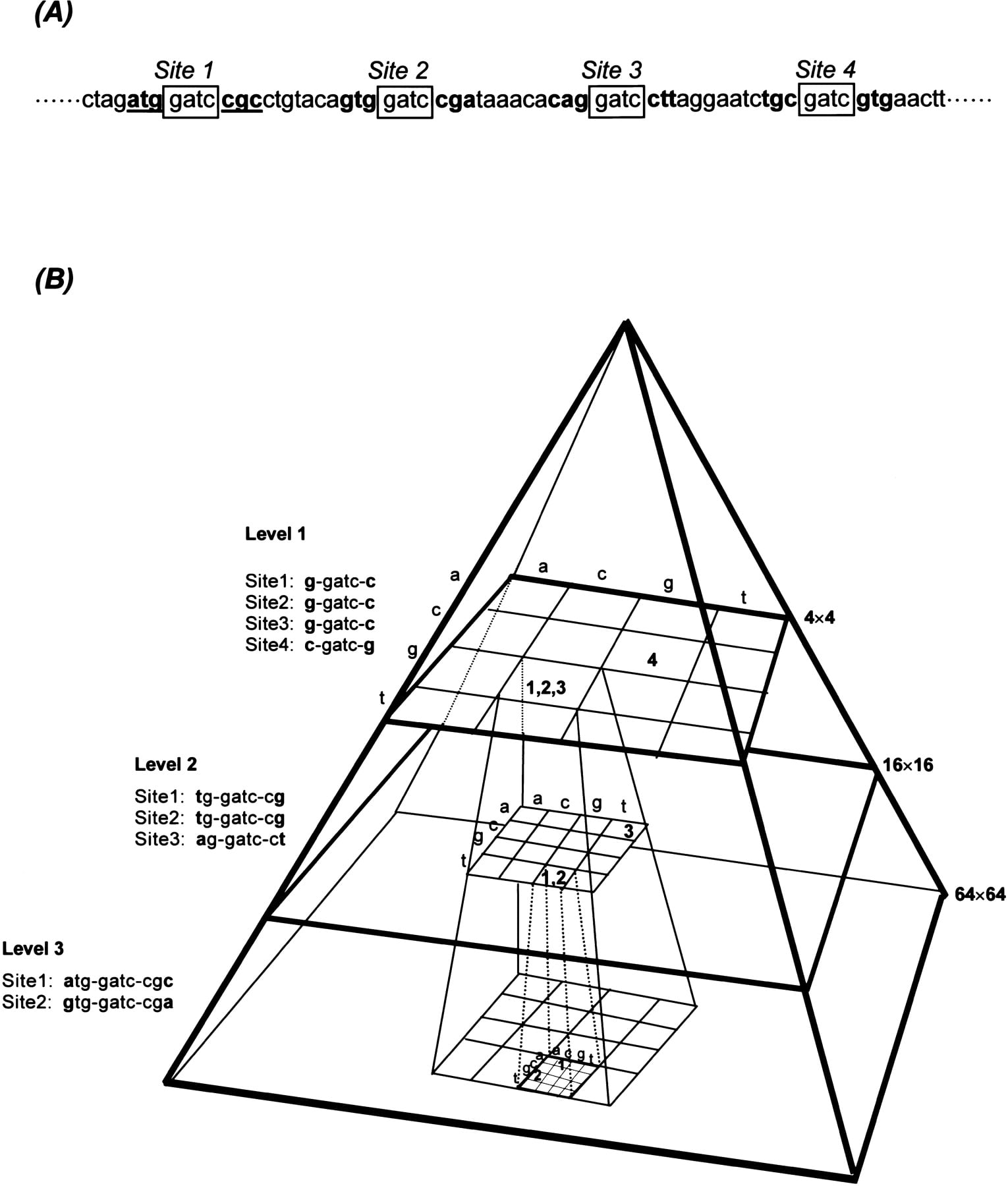 58321-11f1_L1TT