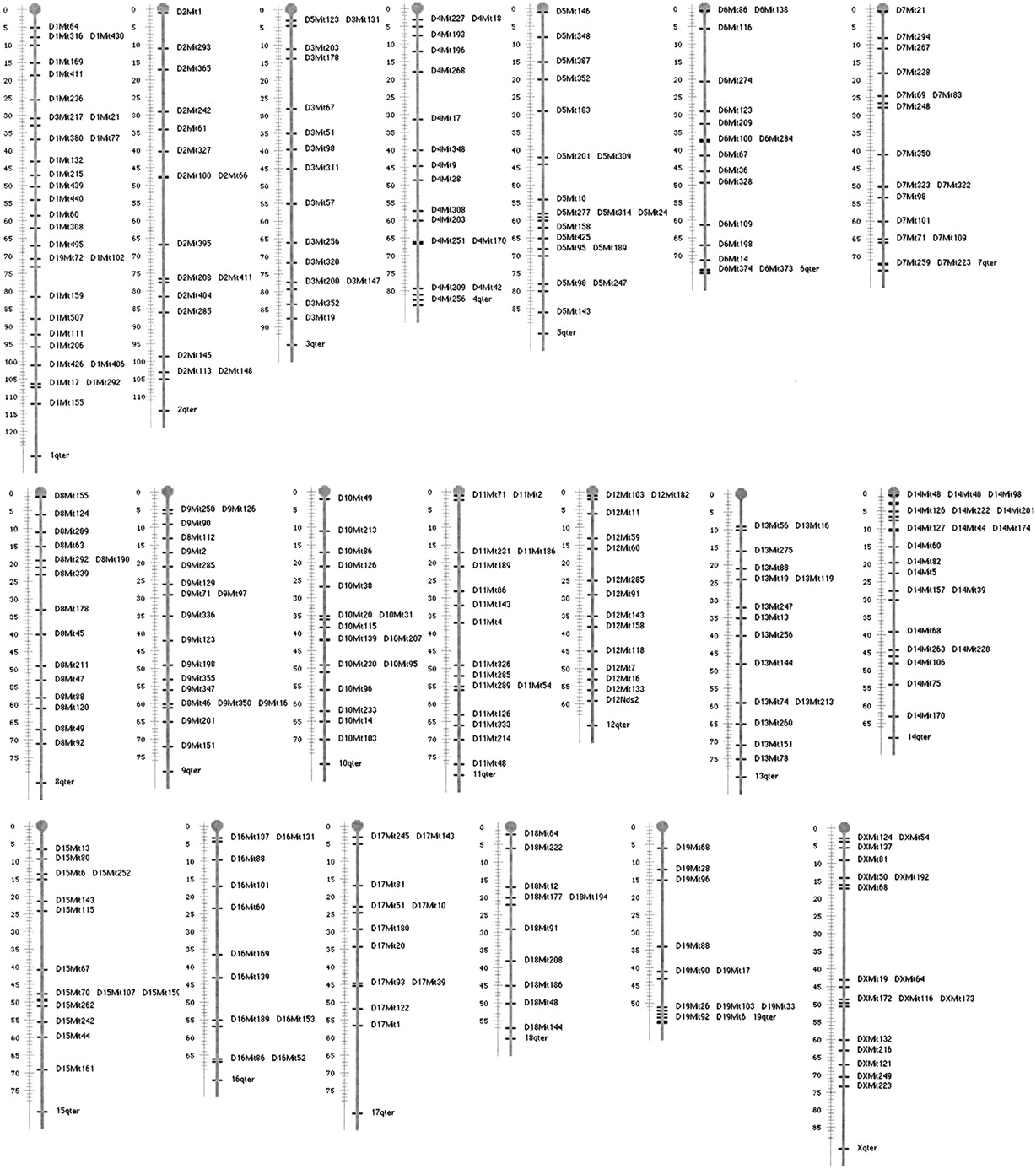 59039-10f1_F1TT