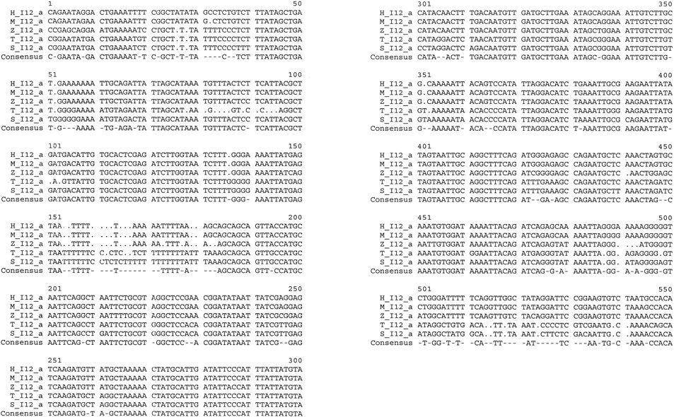 61234-12f4_L1TT