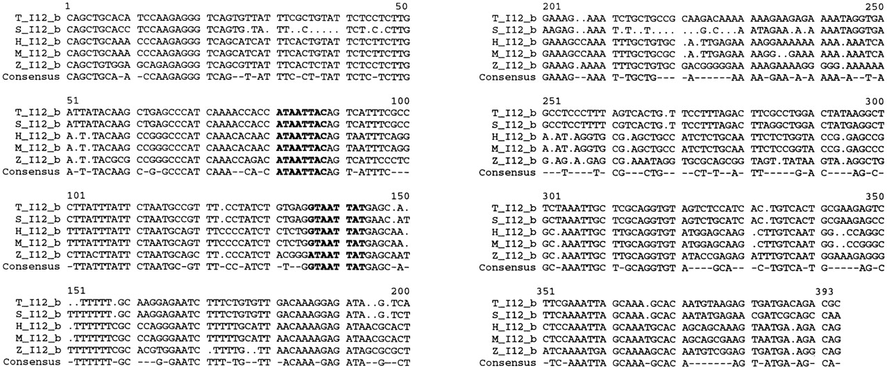 61234-12f5_L1TT_rev1