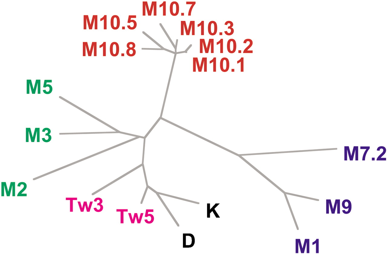 61234-14f3_F4OT