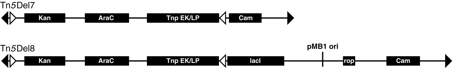 61234-02f2_L1OT