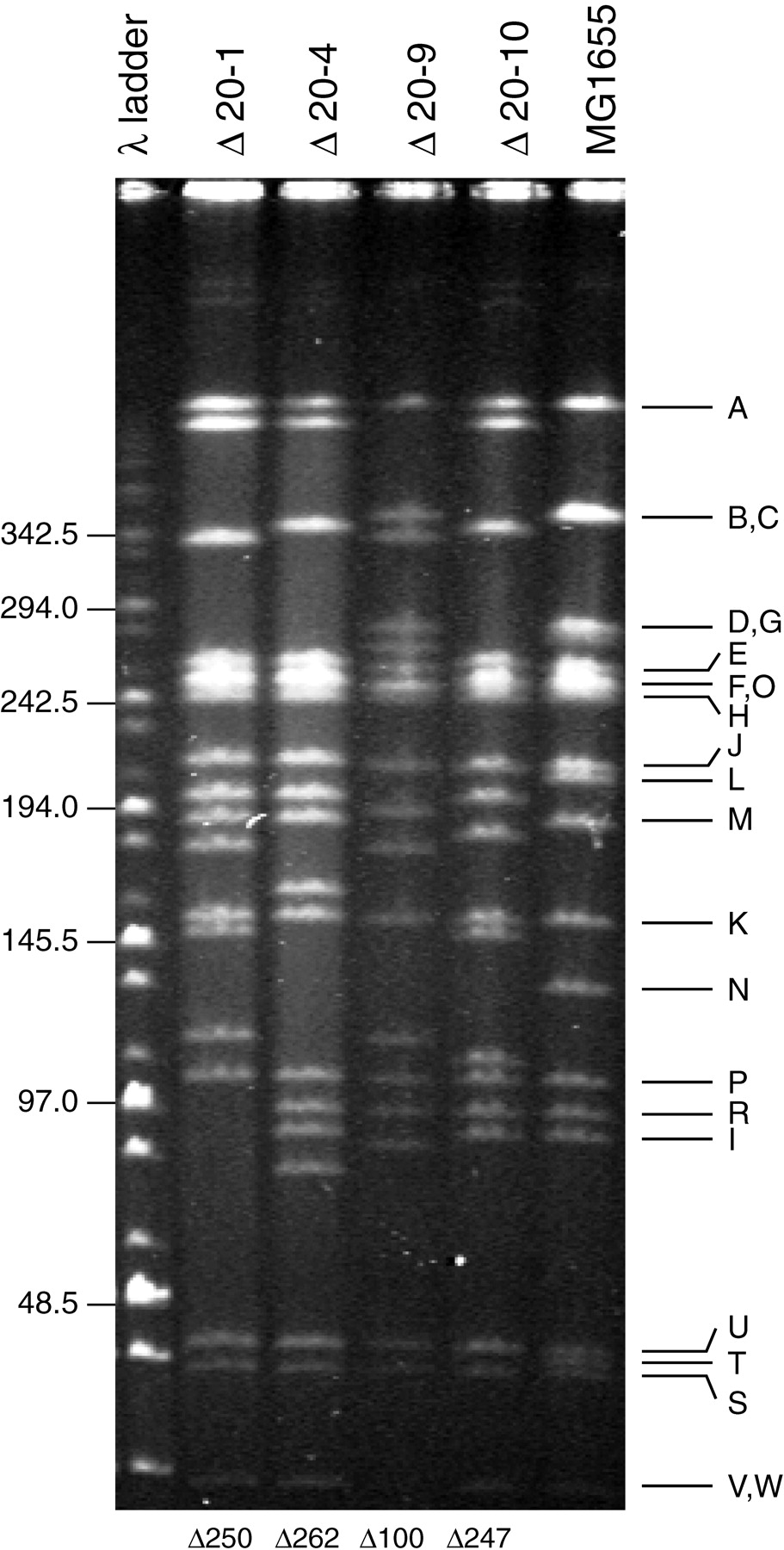 61234-02f4_C1OT
