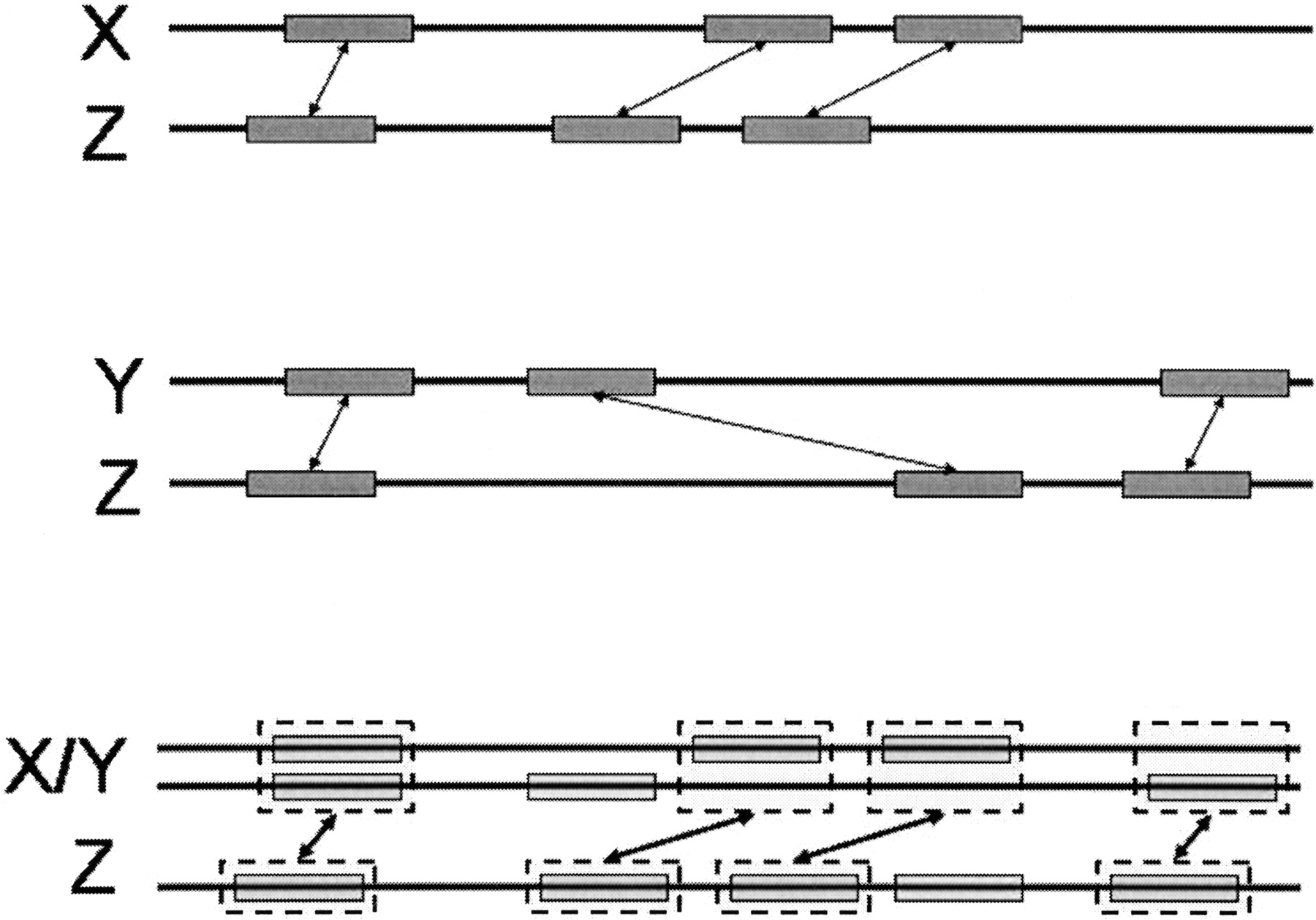 61234-01f5_F1TT