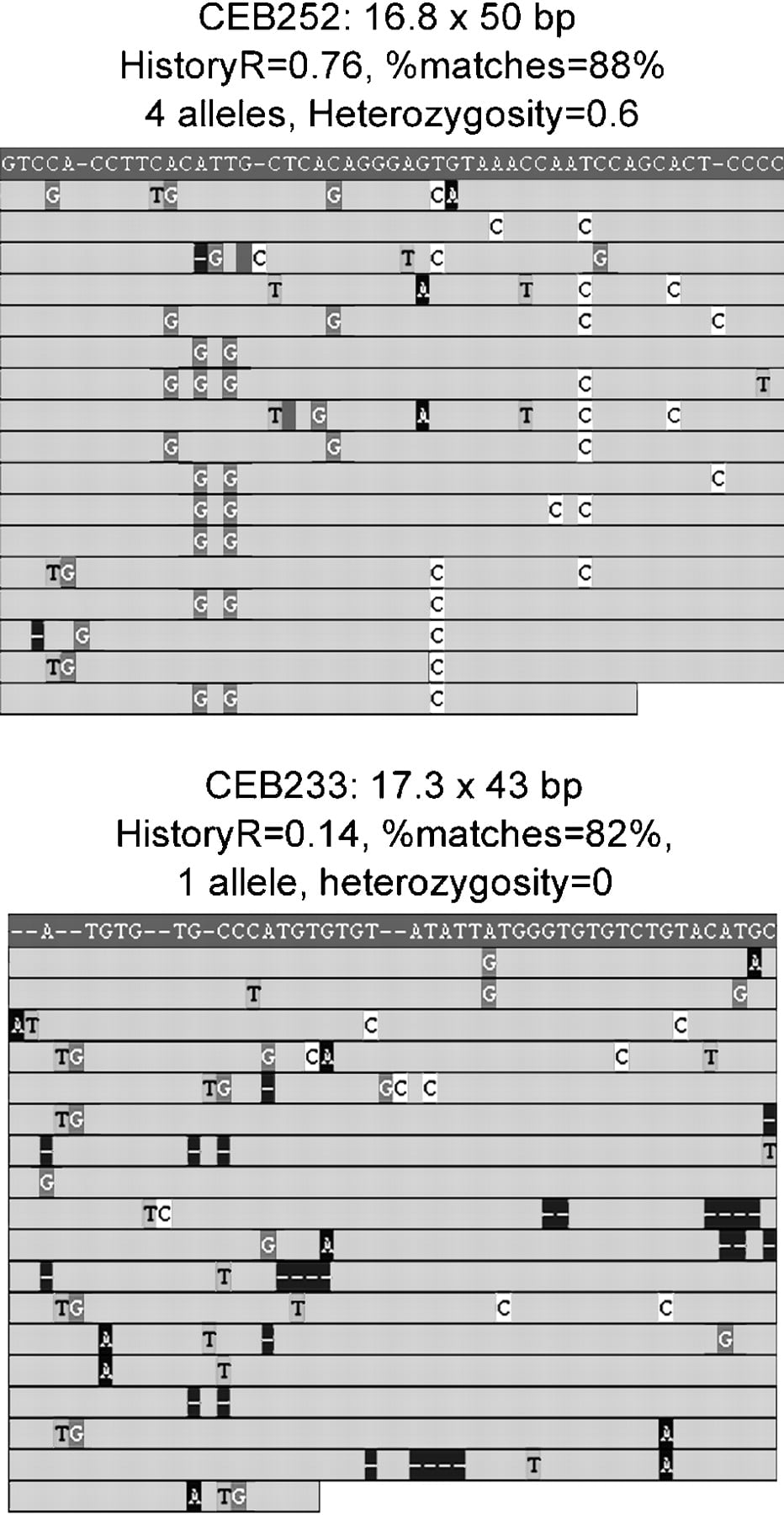62019-04f1_C1OT