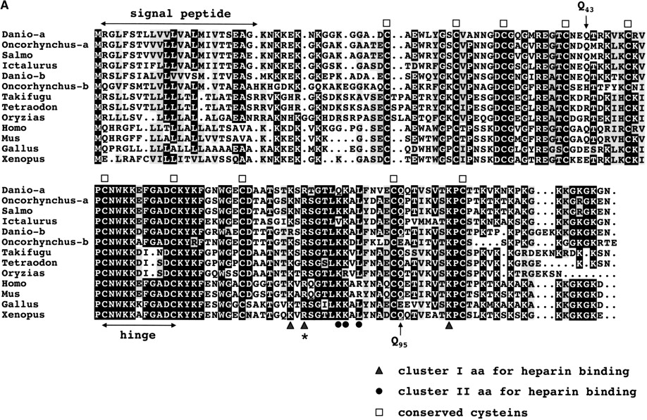 62703-08f1a_F1TT