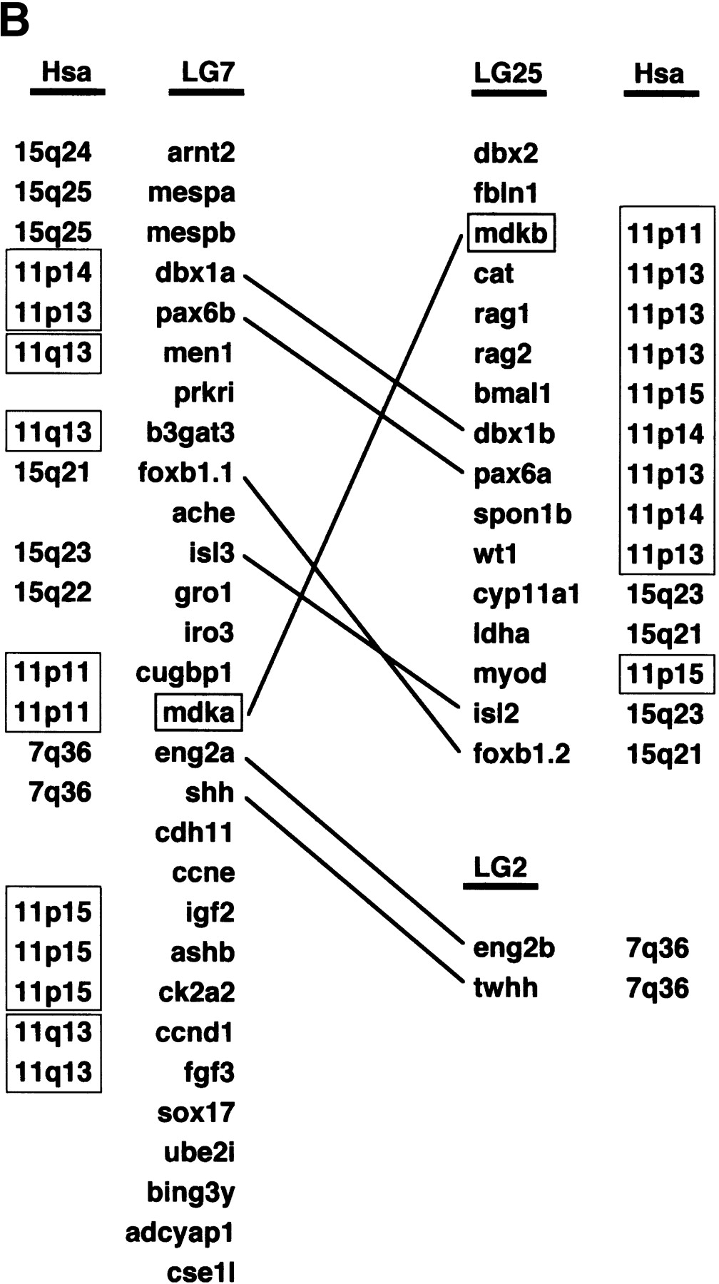62703-08f2b_L1TT_rev1
