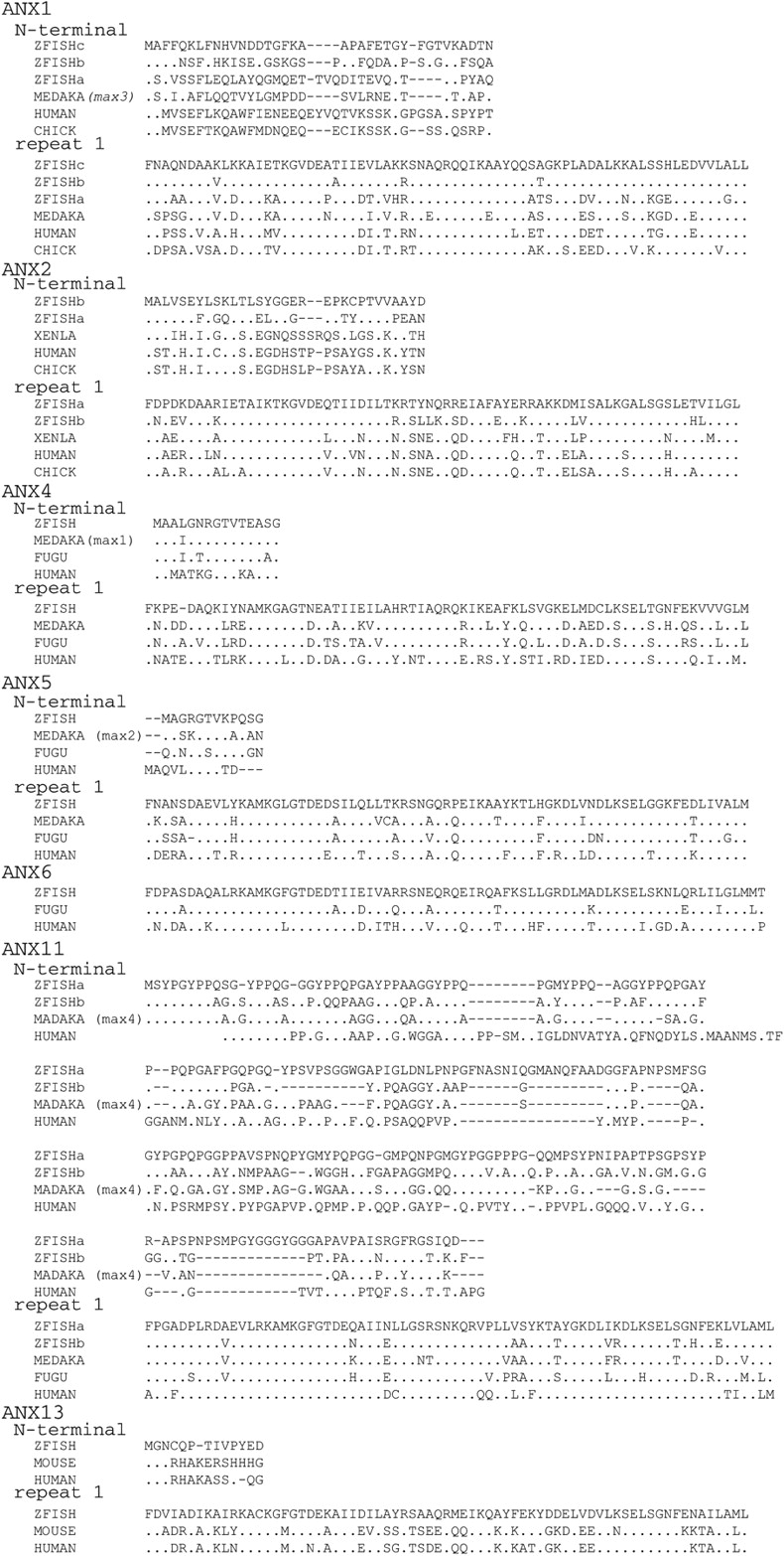 62703-21f2_L1OT_rev1