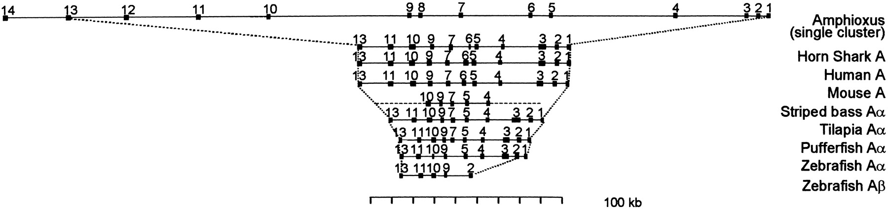 62703-19f2_L1TT