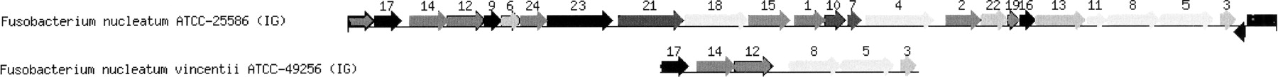 62703-03f3_F1TT