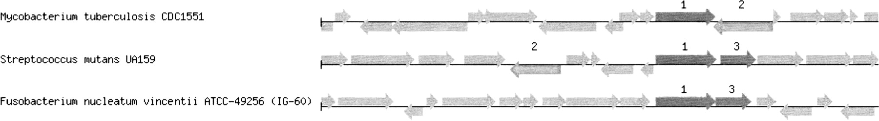 62703-03f4_F1TT
