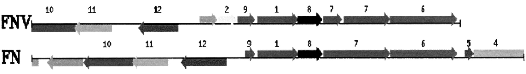 62703-03f5_F1TT