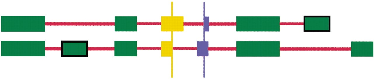 62886-14f6_L4TT