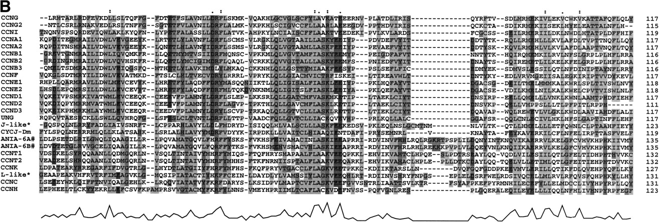 62886-21f1b_F1TT