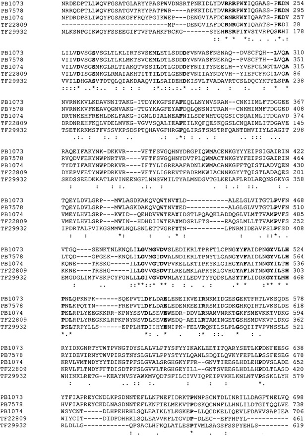 62886-29f3_L1TT_rev1