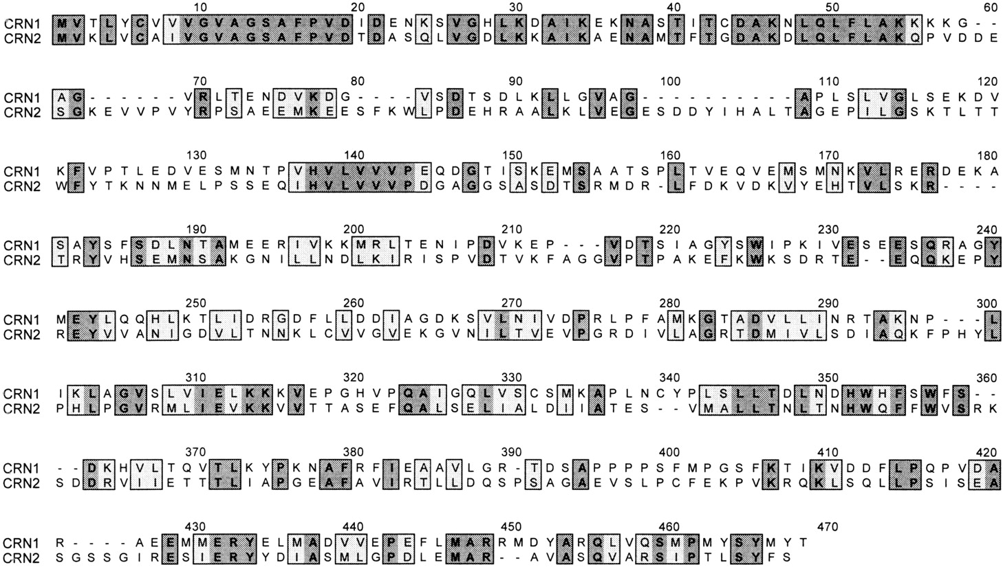 64953-04f6_F1TT