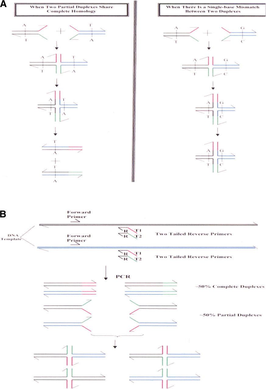 64953-20f1_F4TT