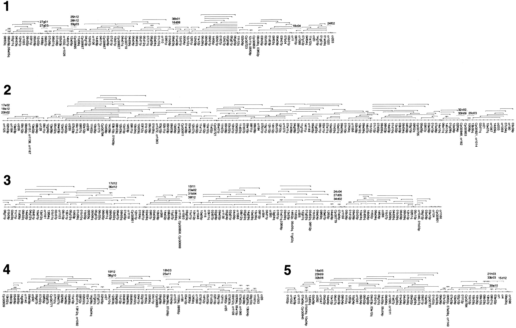 65259-02f2a_F1TT