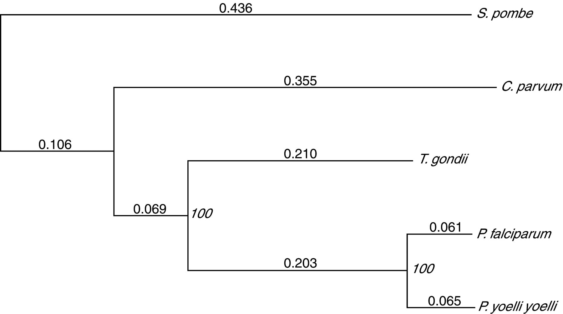 65259-02f6_L1OT_rev2